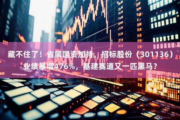 藏不住了！省属国资加持，招标股份（301136）业绩暴增476%，基建赛道又一匹黑马？