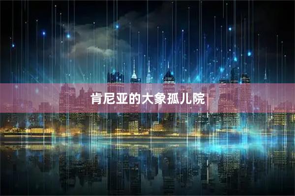 肯尼亚的大象孤儿院