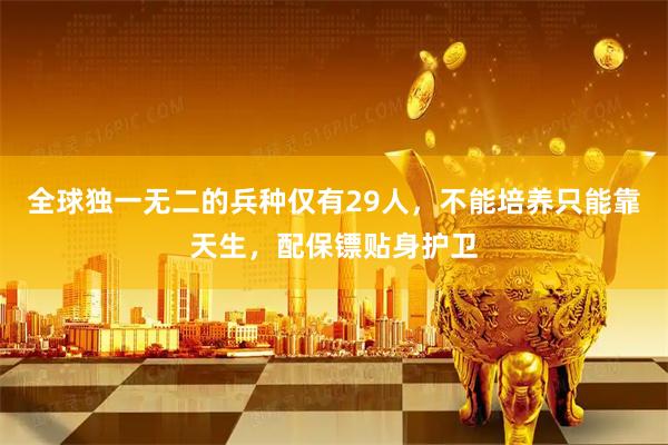 全球独一无二的兵种仅有29人，不能培养只能靠天生，配保镖贴身护卫