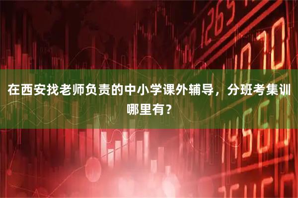 在西安找老师负责的中小学课外辅导，分班考集训哪里有？